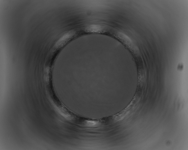 X0000101990167200808081644