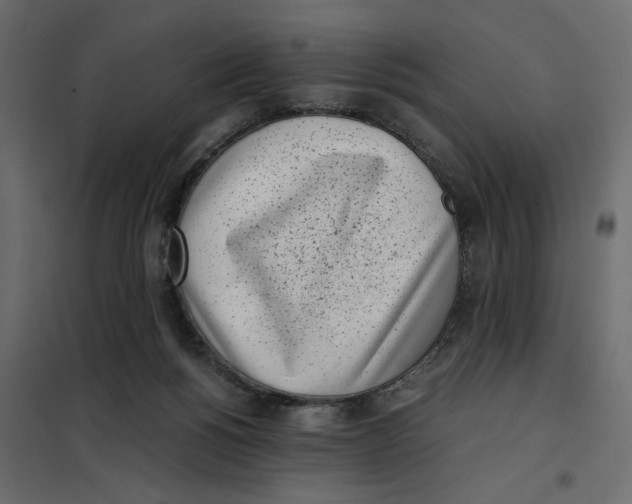 X0000101990168200808081644