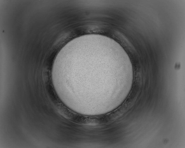 X0000101990169200808081644