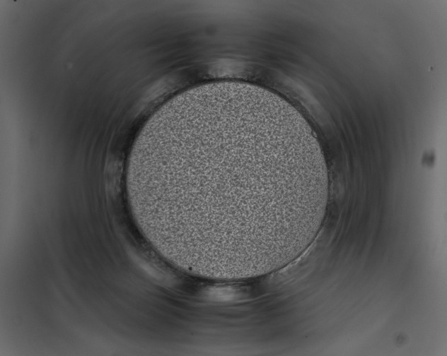 X0000101990171200808081644