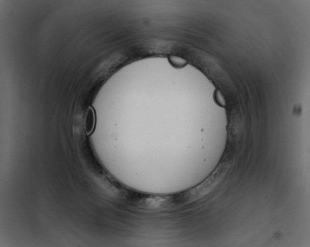 X0000101990172200808081645