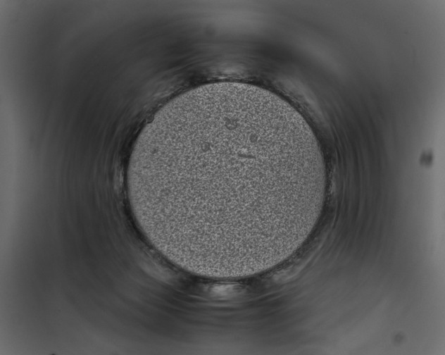 X0000101990173200808081645