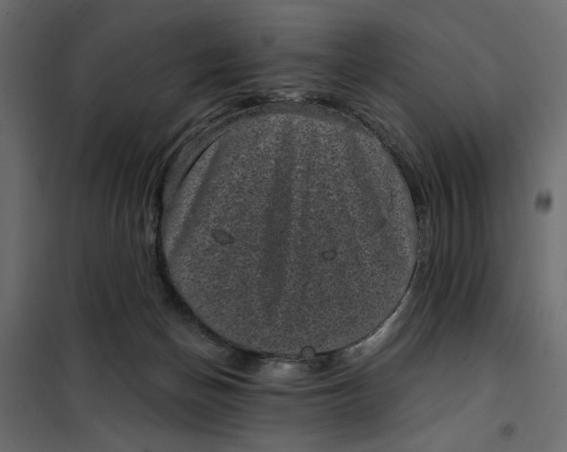 X0000101990174200808081645
