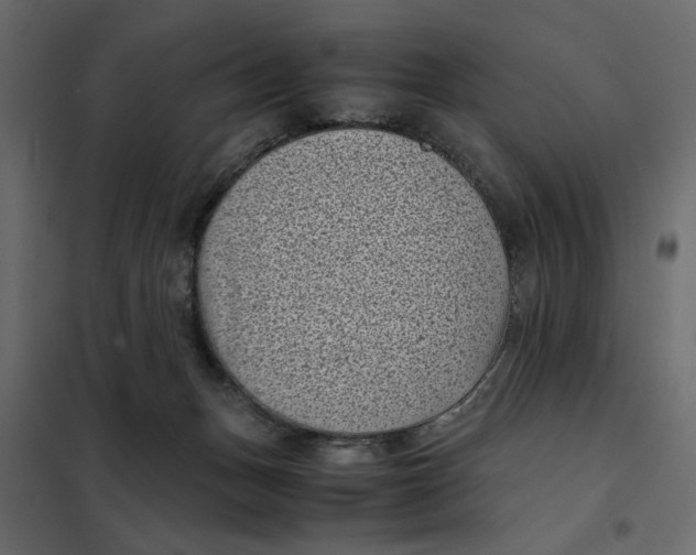 X0000101990175200808081645