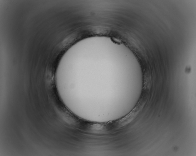 X0000101990176200808081645