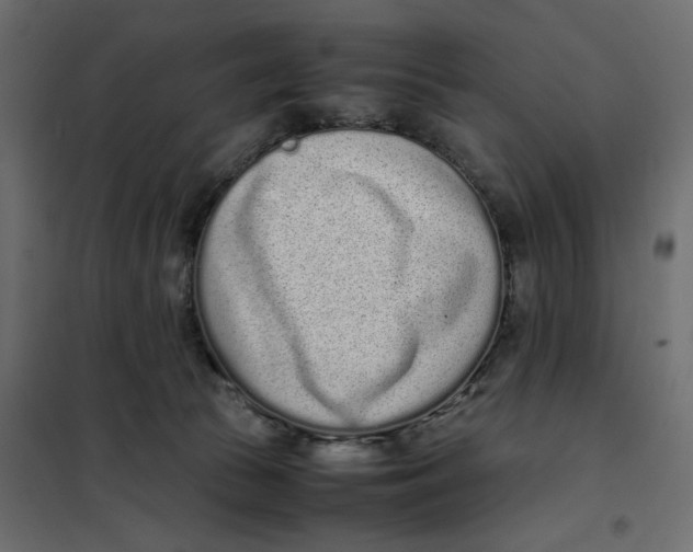 X0000101990177200808081645