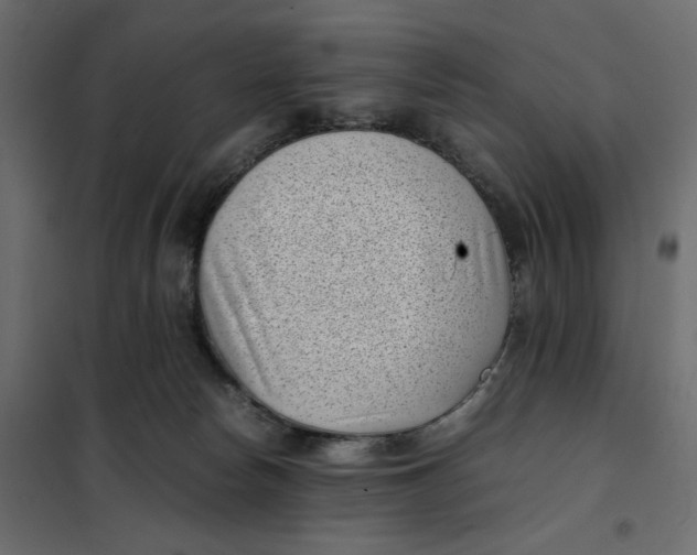 X0000101990178200808081645
