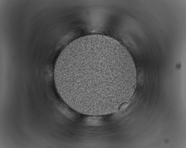 X0000101990179200808081645