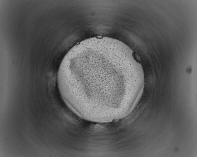 X0000101990180200808081645