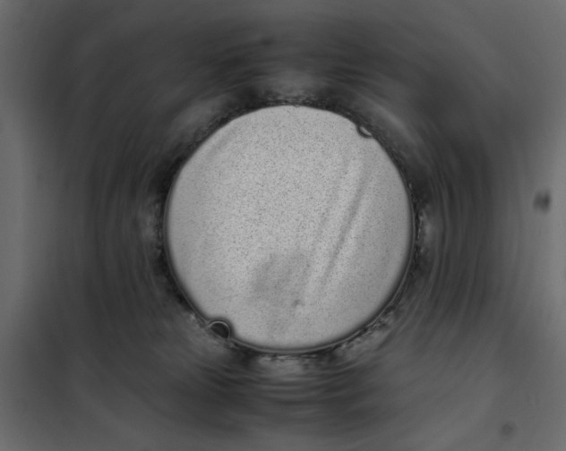 X0000101990181200808081645