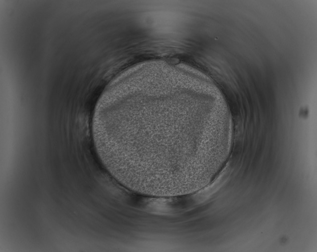 X0000101990182200808081645