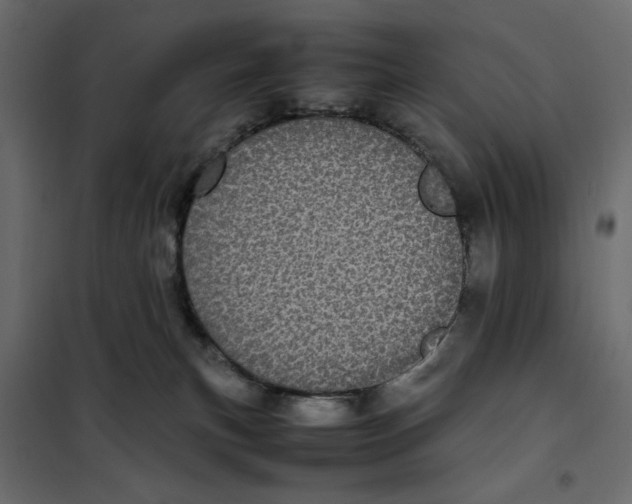X0000101990183200808081645