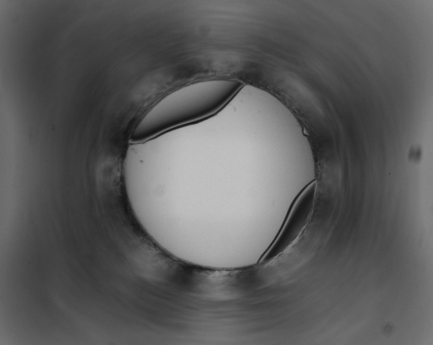 X0000101990184200808081645