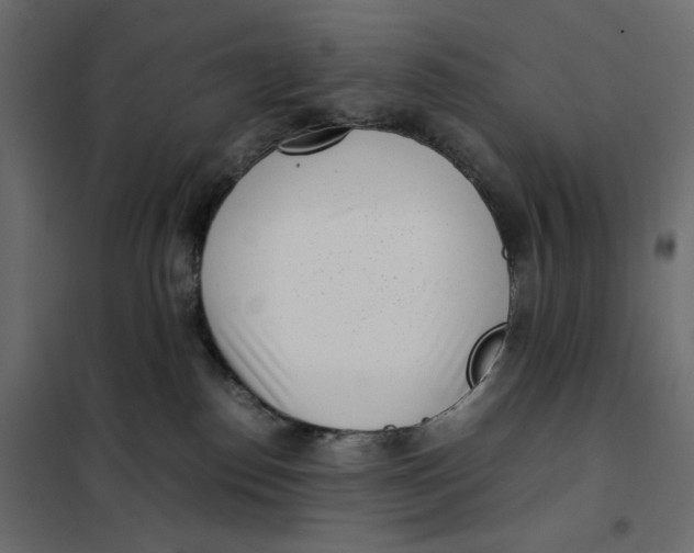 X0000101990186200808081645