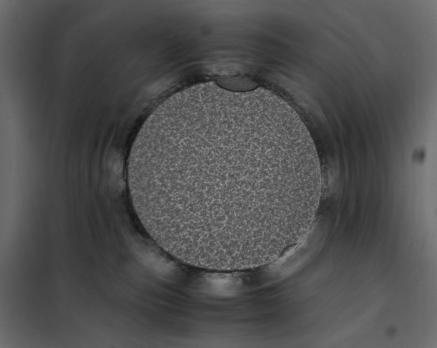 X0000101990187200808081645