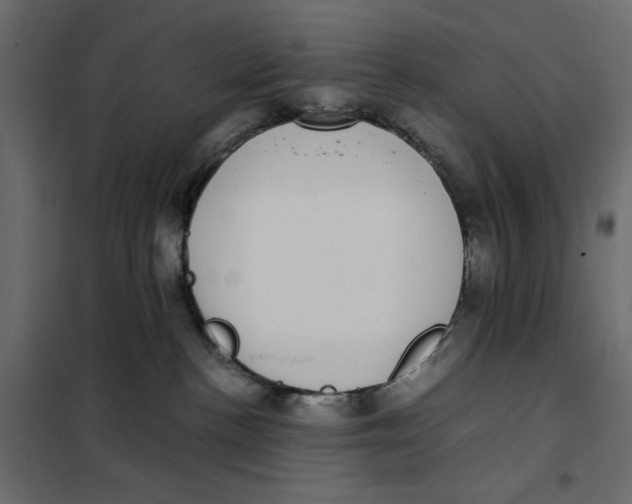 X0000101990188200808081645