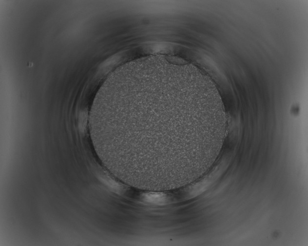 X0000101990189200808081645
