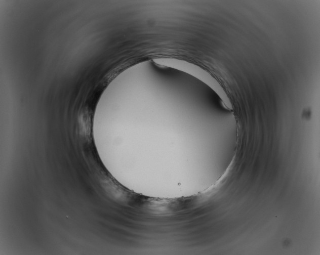 X0000101990190200808081645