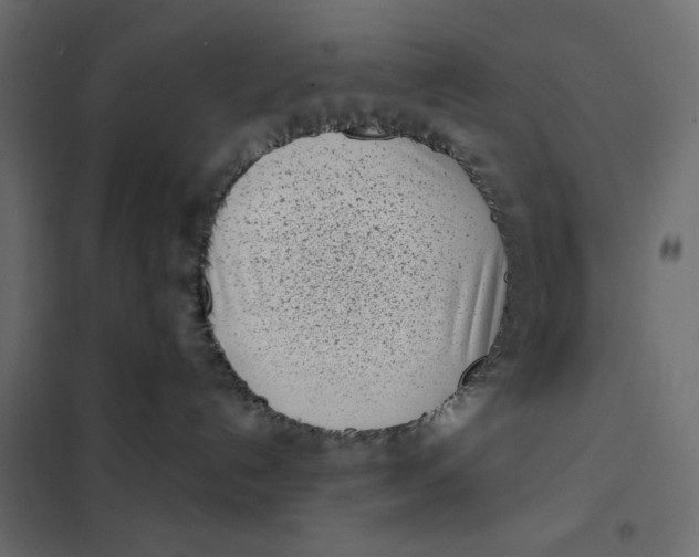X0000101990192200808081645