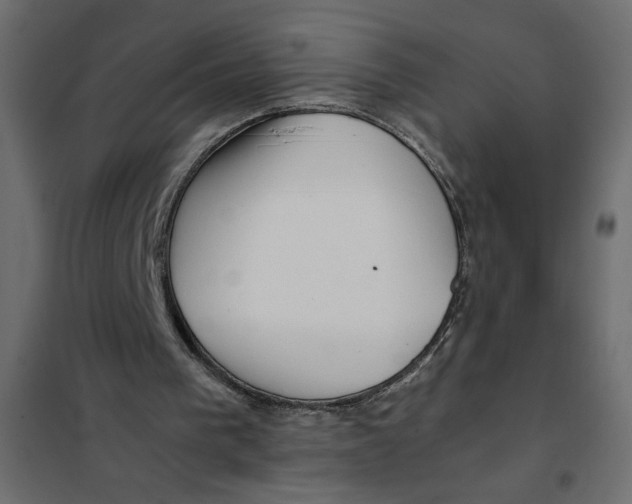 X0000101990193200808081644