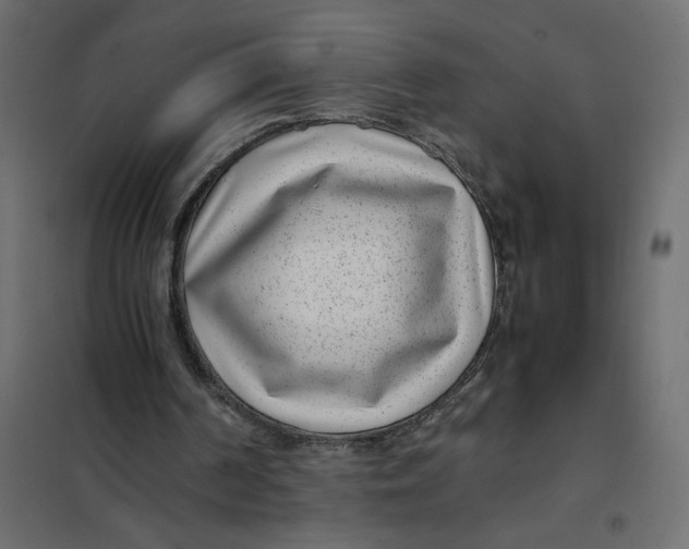 X0000101990194200808081644