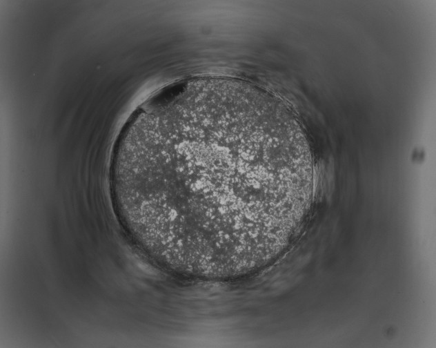 X0000101990195200808081644