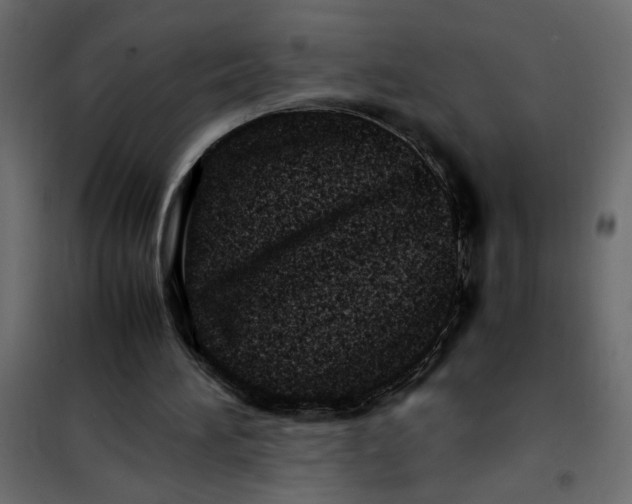 X0000101990196200808081644