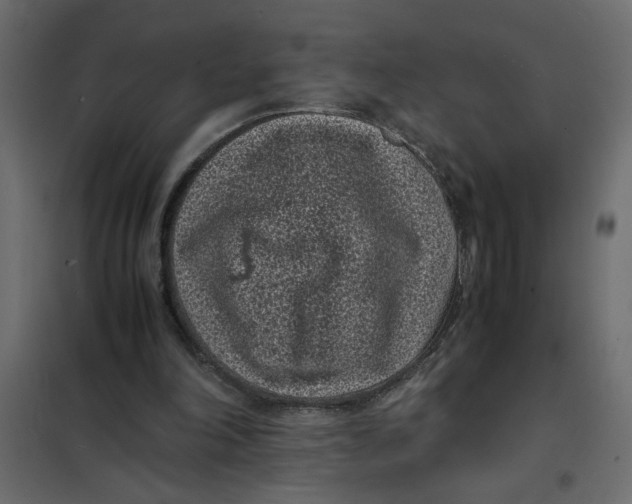 X0000101990198200808081644