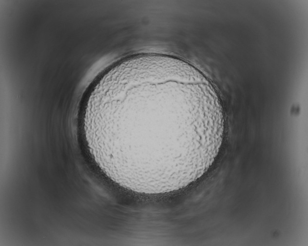 X0000101990199200808081644