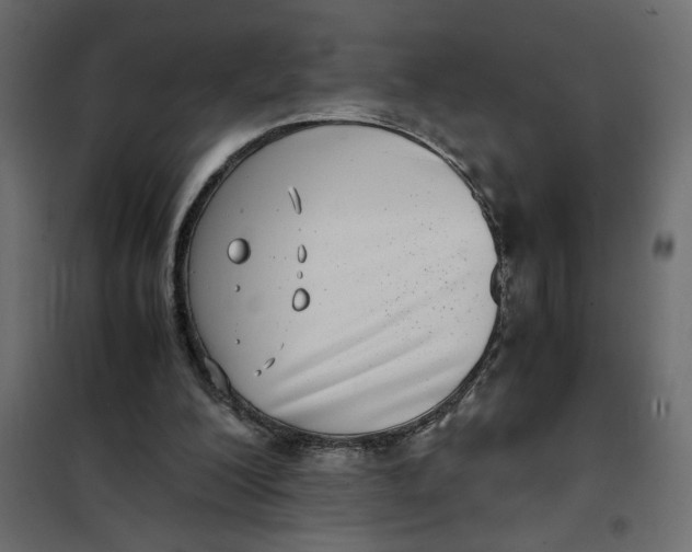 X0000101990200200808081644