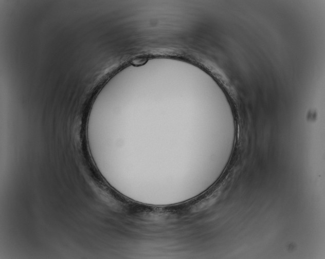 X0000101990201200808081644