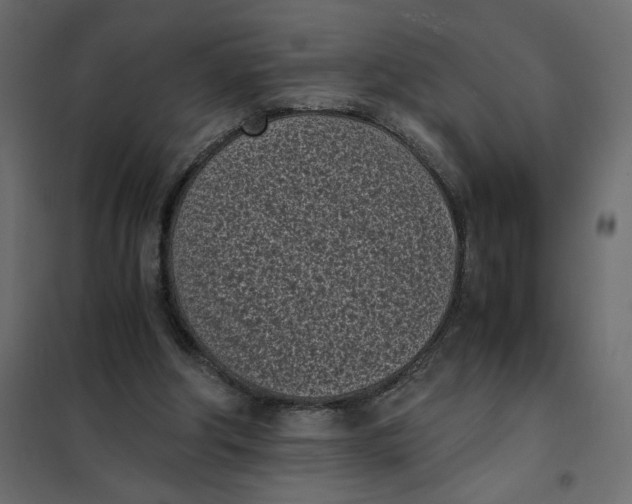 X0000101990202200808081644