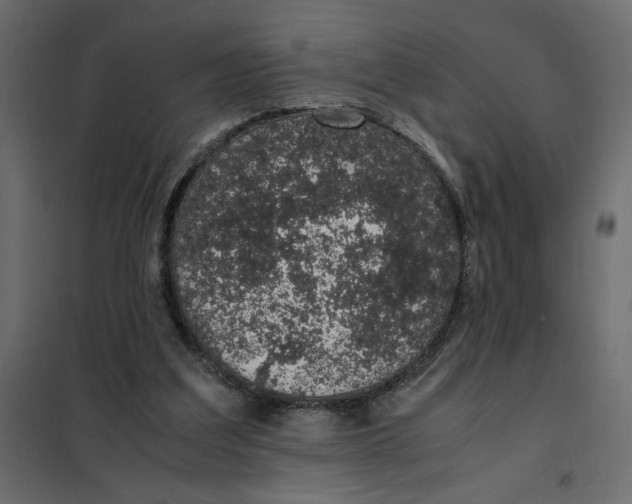 X0000101990203200808081644