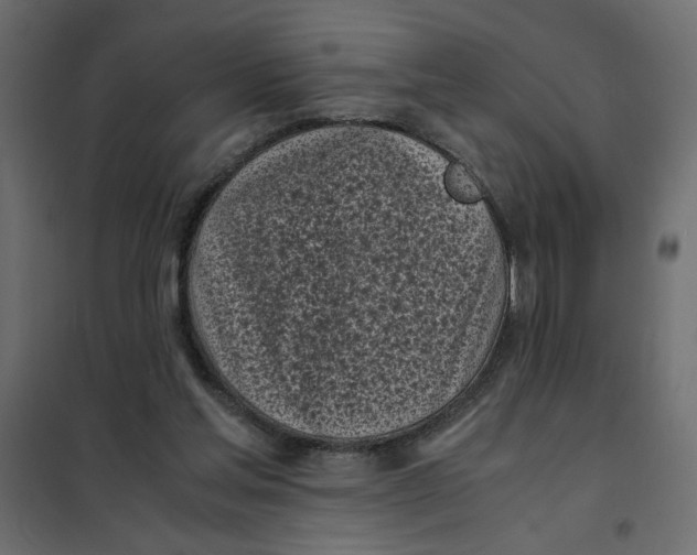 X0000101990205200808081644