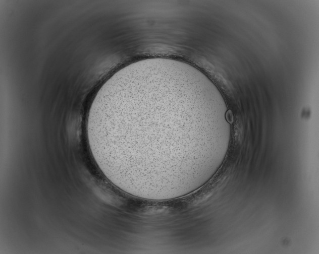 X0000101990206200808081644