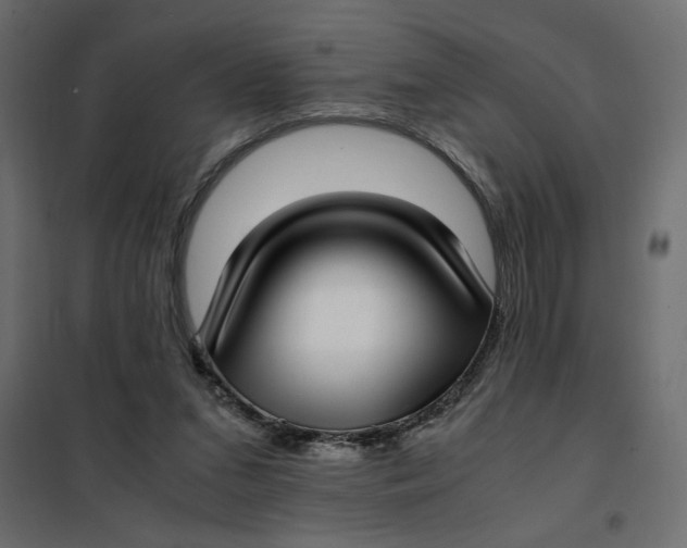 X0000101990207200808081644