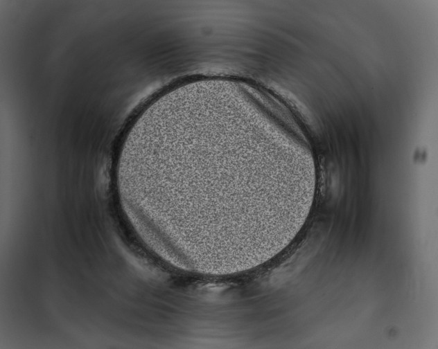 X0000101990208200808081644
