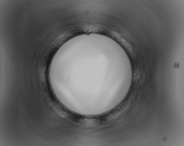 X0000101990209200808081644