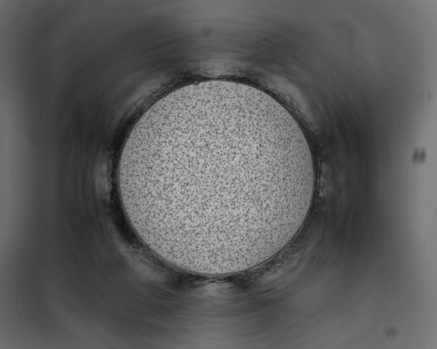 X0000101990210200808081644
