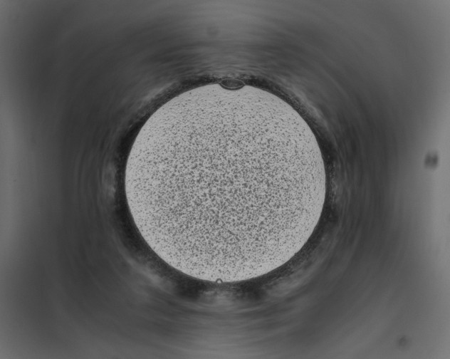 X0000101990211200808081644