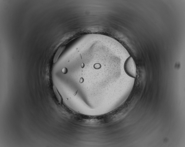 X0000101990212200808081644
