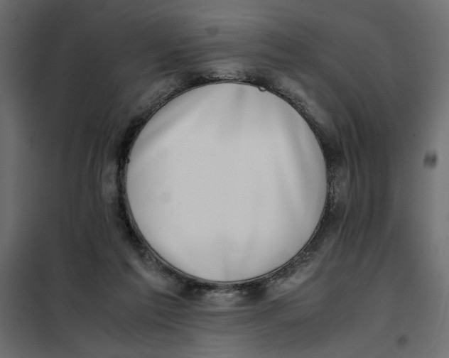 X0000101990213200808081644