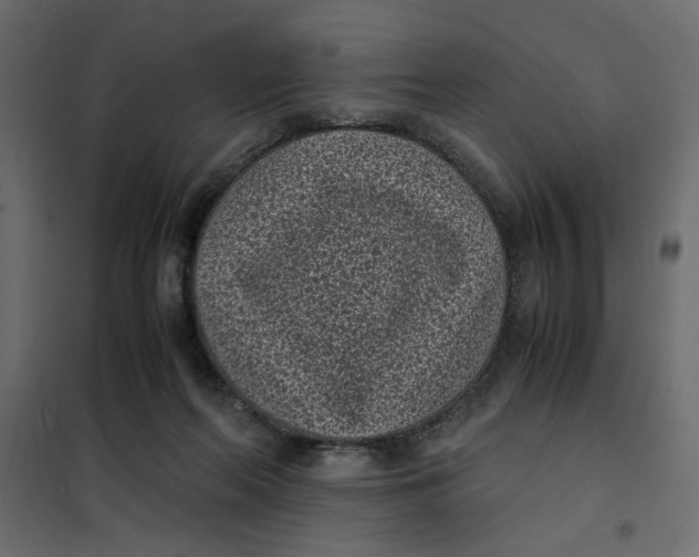 X0000101990214200808081644