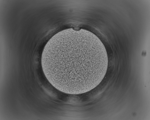 X0000101990215200808081644