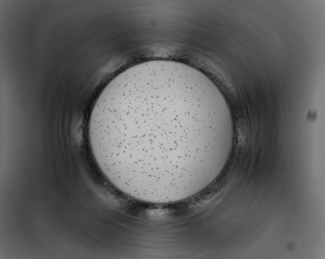 X0000101990216200808081644