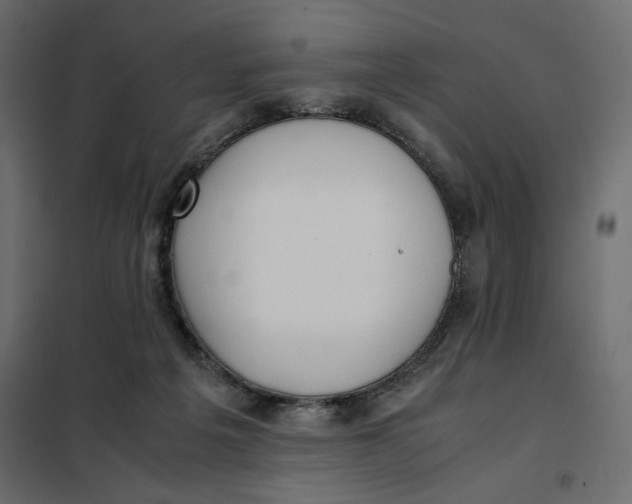 X0000101990217200808081644
