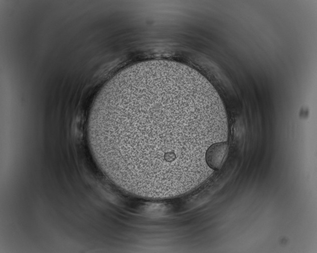 X0000101990218200808081644