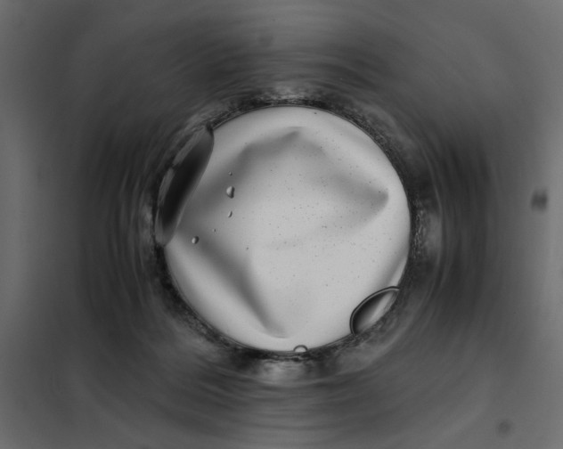 X0000101990220200808081644