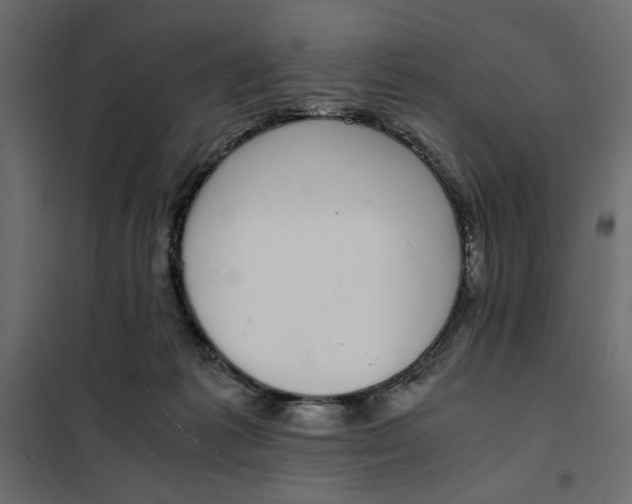 X0000101990221200808081644