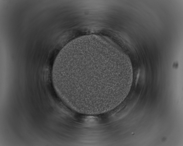 X0000101990222200808081644